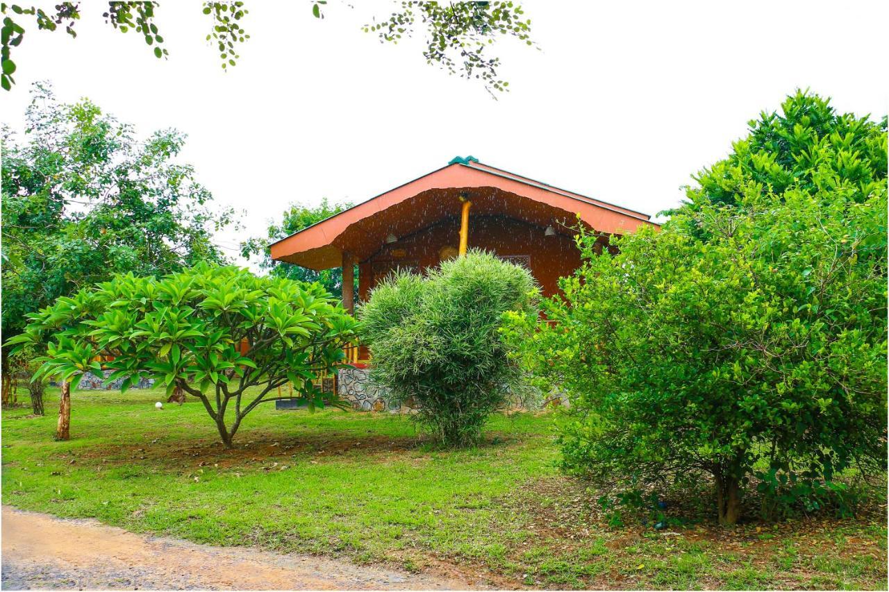 Yala Peace Cottages Тиссамахарама Экстерьер фото